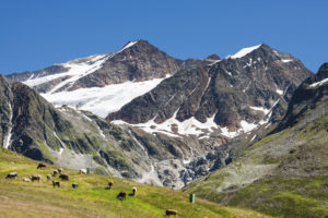 Schneegrenze erreicht: Eisfelder in den Ötztaler Alpen.